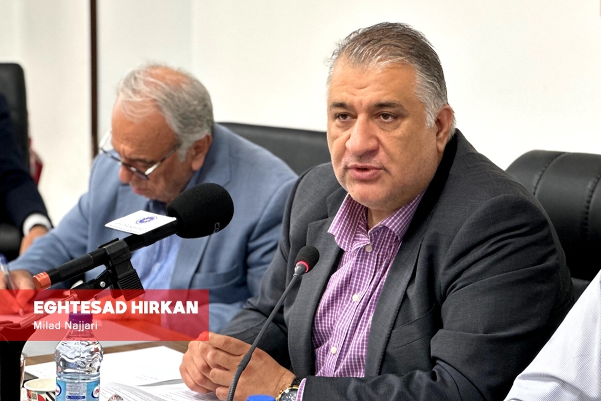 ظرف ده سال گذشته بخش خصوصی را کوچکتر کرده اند