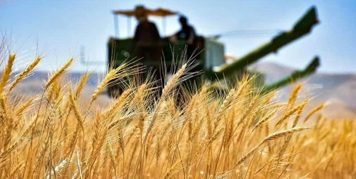 افزایش ۱۳۲ درصدی قیمت کود در ۶ ماه / کشاورزان توان خرید ندارند