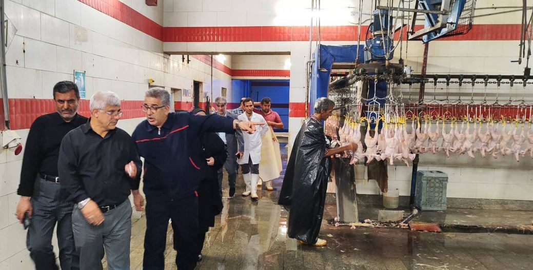 معاون هماهنگی امور اقتصادی استانداری گلستان گفت: مرغ و کالا های اساسی به اندازه کافی در استان وجود دارد.