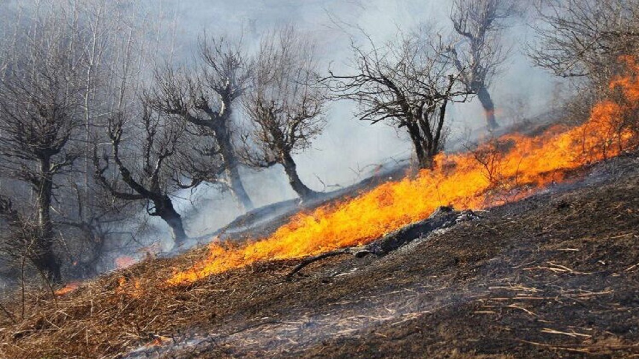آتش‌سوزی در ۱۵ نقطه از جنگل هیرکانی گلستان مهار شد