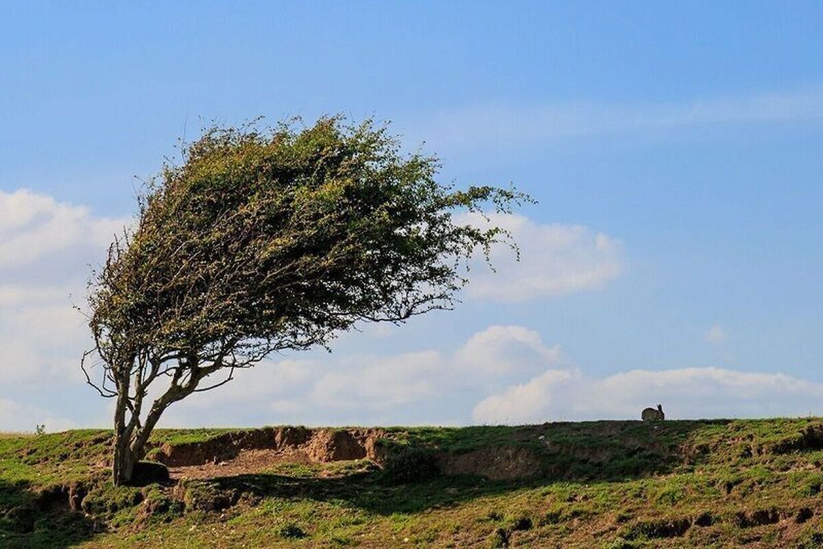پیش‌بینی وزش باد موقتی در شمال گلستان