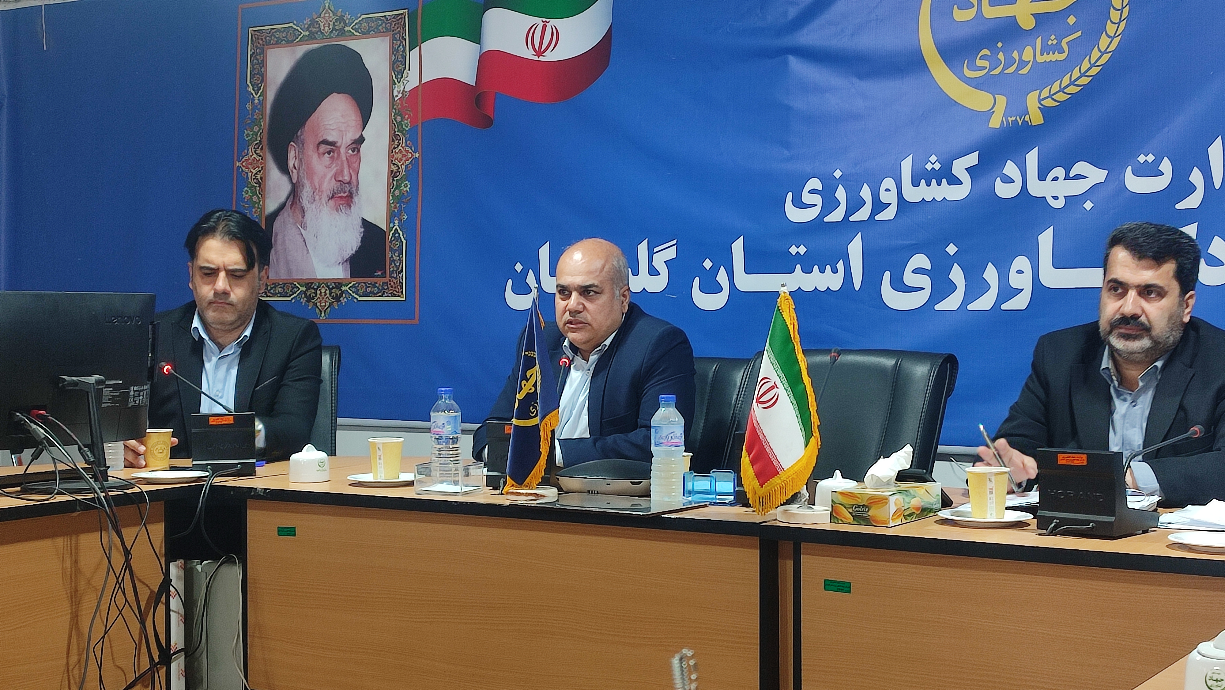 جوجه‌ریزی مرغداری‌های گلستان در اردیبهشت ماه به بیش از ۱۴ میلیون قطعه رسید