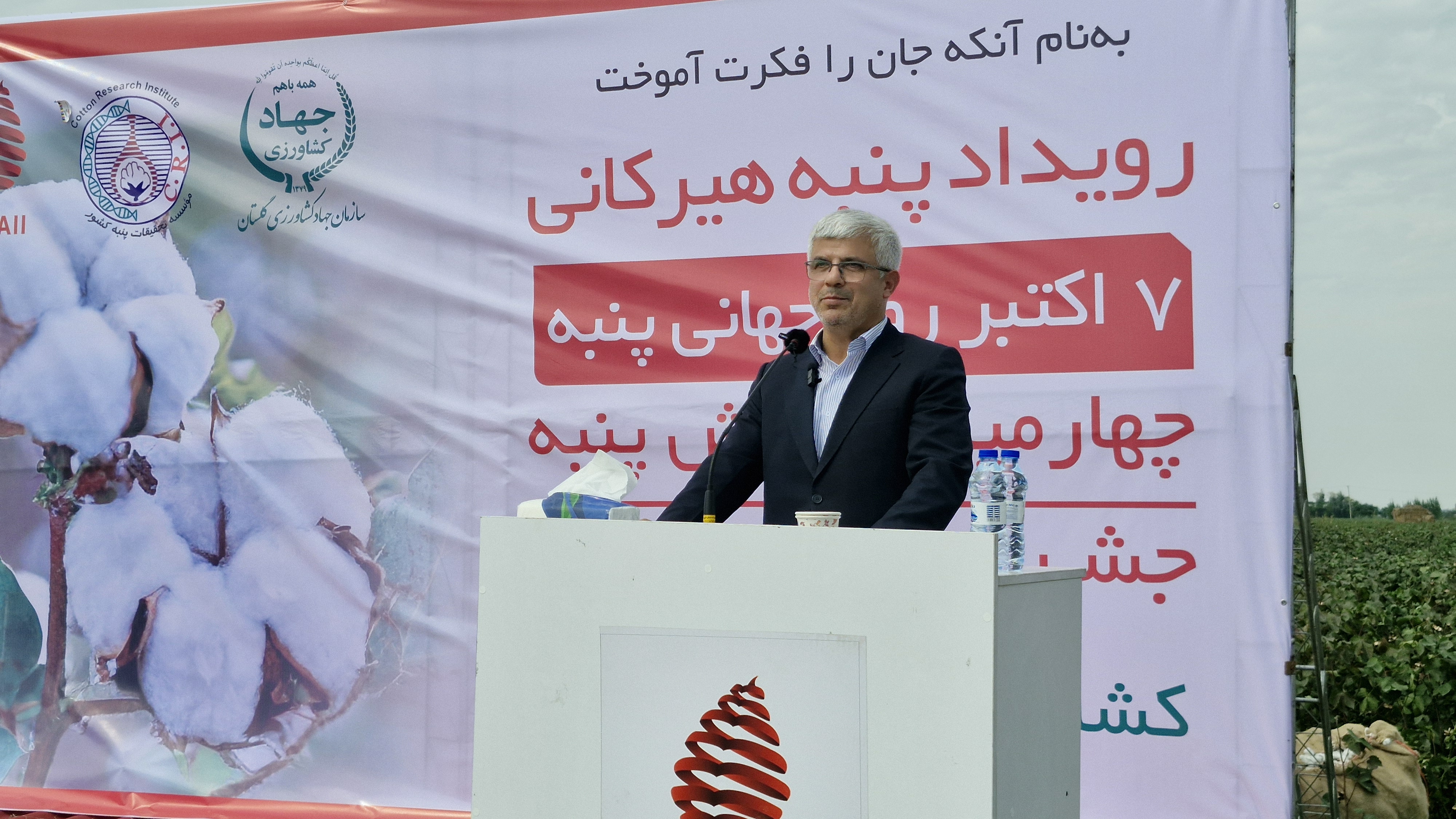 «طلای سفید» گلستان در مسیر احیا؛ هدف‌گذاری برای کشت ۲۰ هزار هکتار پنبه