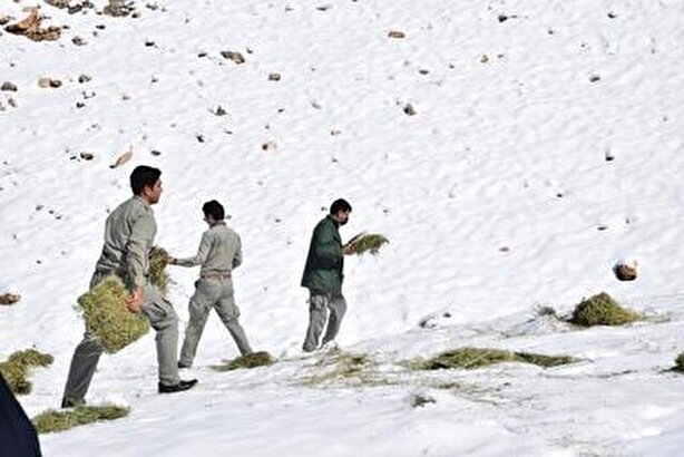 گشت و پایش محیط‌بانان پارک ملی گلستان در روز برفی