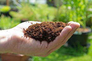 محدودیت توزیع کود یارانه ای برای کشاورزان برنج‌کار گلستانی رفع شد