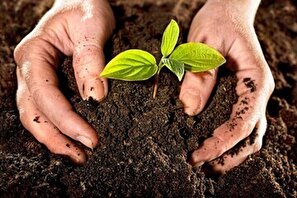 برنامه  تخصیص ۳ میلیون تن کود یارانه ای  برای سال جاری ابلاغ شد