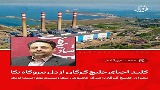 کلید احیای خلیج گرگان از دل نیروگاه نکا؛بحران خلیج گرگان؛ مرگ خاموش یک زیست‌بوم استراتژیک