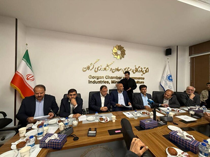 توسعه مهارت و اجرای کامل قوانین، شرط اصلی تحول در گلستان است
