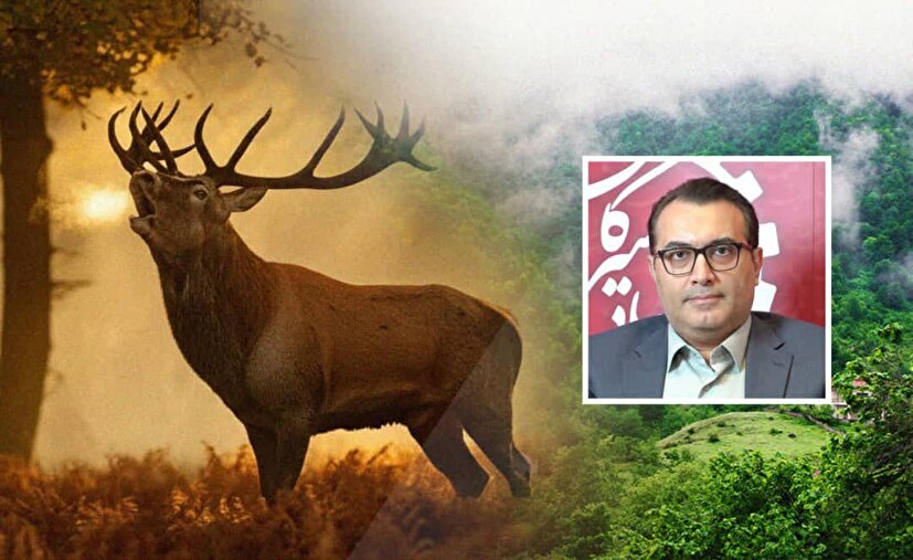 حفاظت از مرال در فصل گاوبانگی؛ ضرورتی برای مدیریت اکولوژیک و هم‌افزایی با جوامع محلی