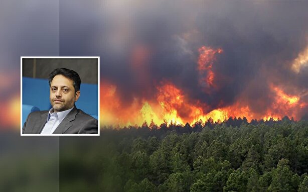 هشدار برای آخرین جنگل‌های باستانی، مدیریت علمی آتش‌سوزی‌ها در گلستان